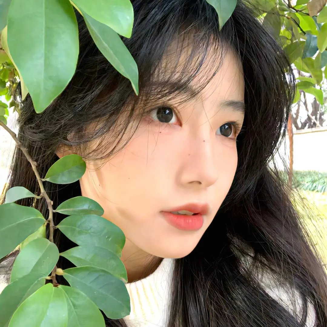 冰山美女你别闹我们有天命姻缘